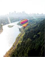Rainbow Balloons