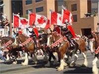 Calgary Stampede Parade