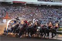 Calgary Stampede Rodeo